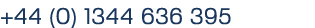 +44 (0) 1344 636 395