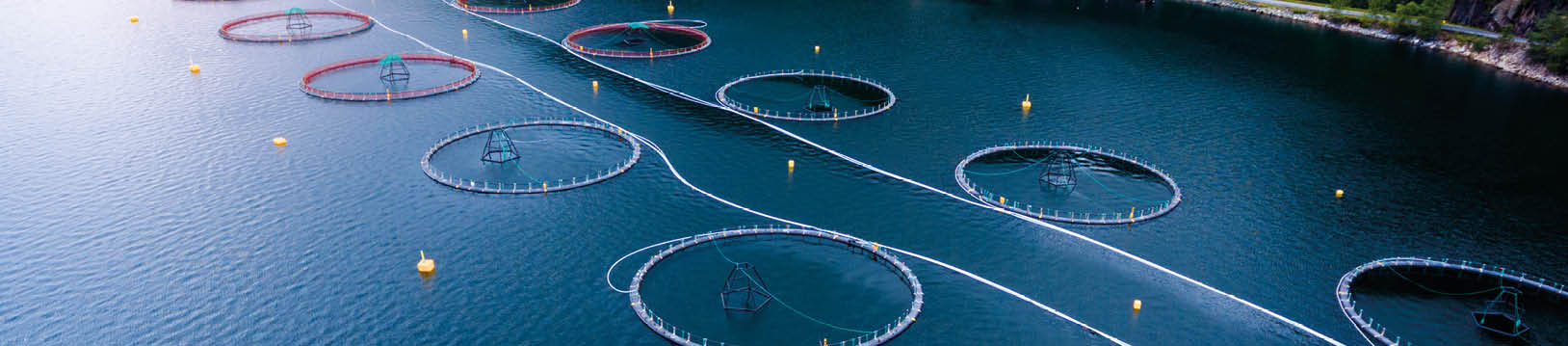 Aquaculture