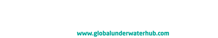 Further Information The information contained in this report was produced using Global Underwater Hub’s Market Intell...