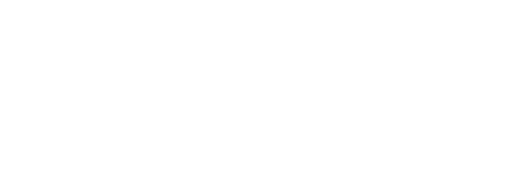 DEEP IN TRANSITION