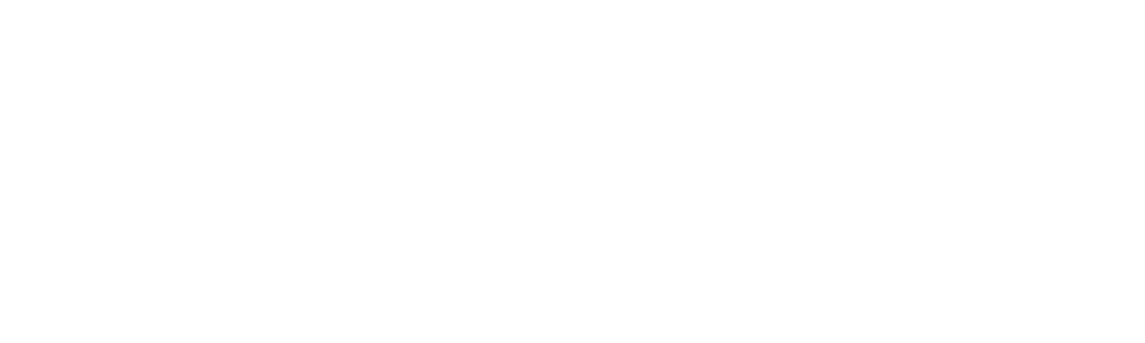 DEEP IN TRANSITION