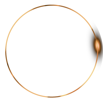 Luxury Vector Background. Abstract Premium Award Banner With Gold Lines.