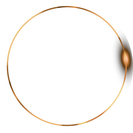 Luxury Vector Background. Abstract Premium Award Banner With Gold Lines.