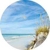 Beautiful Sand Dunes and Sea Oats on the Coastline of Anna Maria Island, Florida