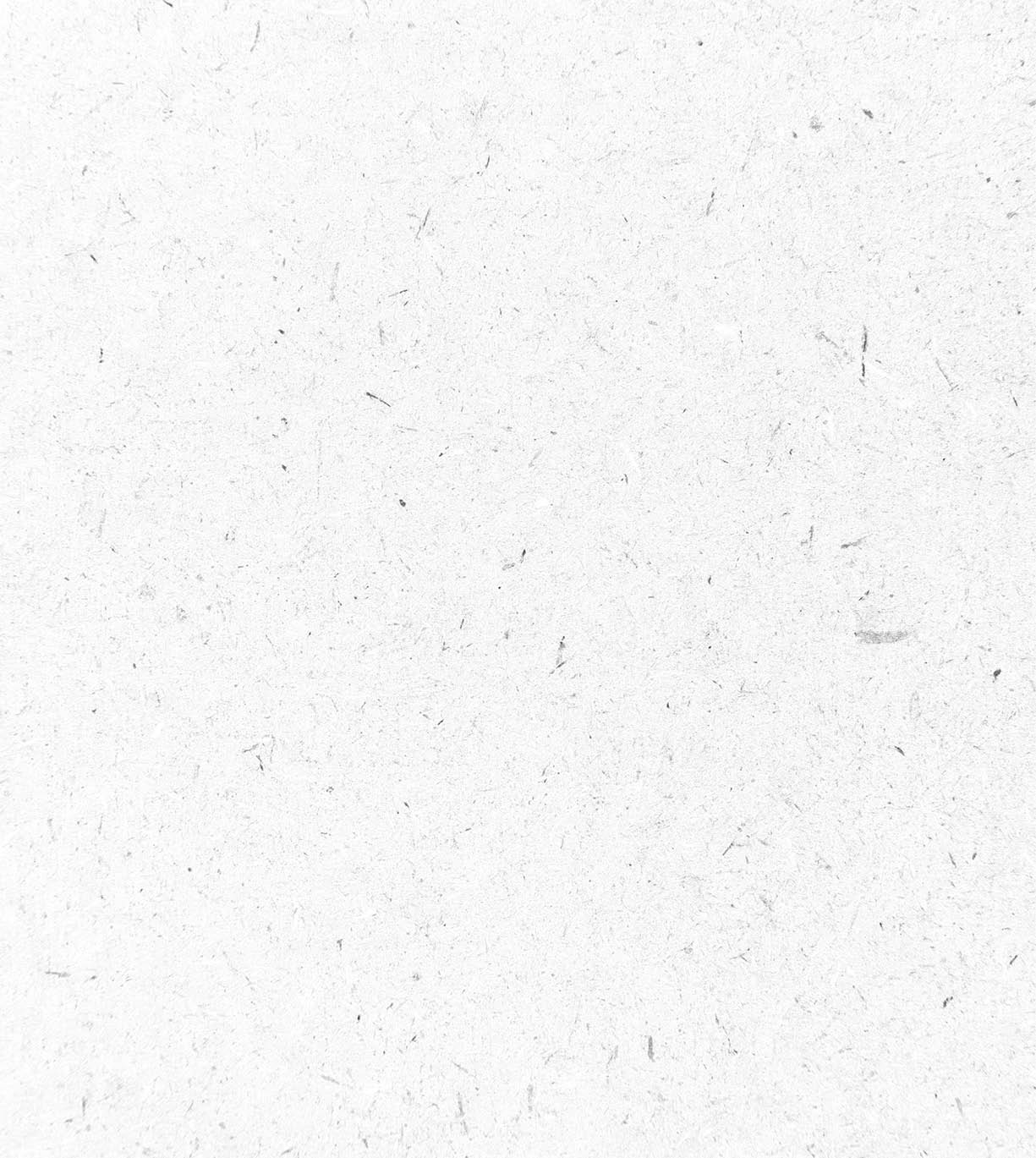 White paper texture background or cardboard surface from a paper box for packing. and for the designs decoration and nature background concept