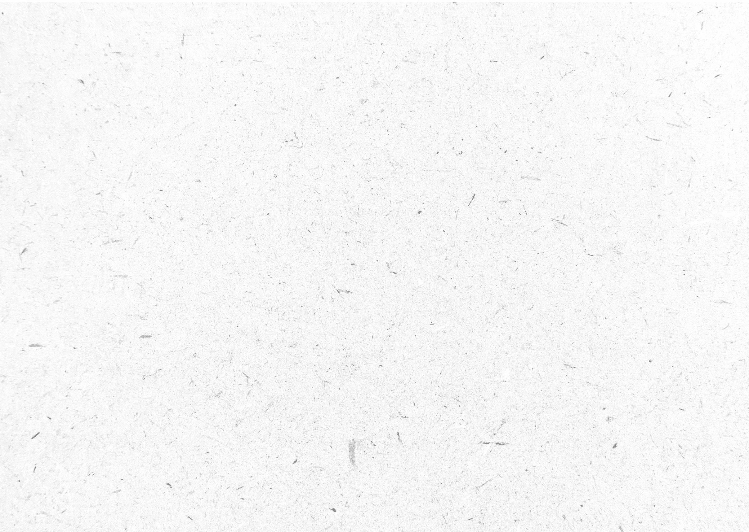 White paper texture background or cardboard surface from a paper box for packing. and for the designs decoration and nature background concept