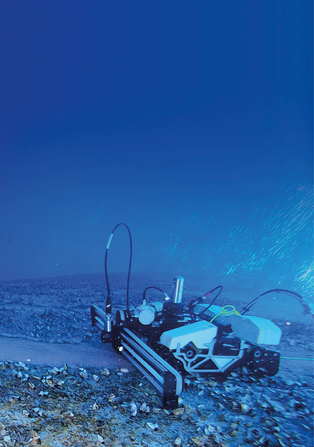 A blue ocean with a white and black object on the bottom. Description generated by AI